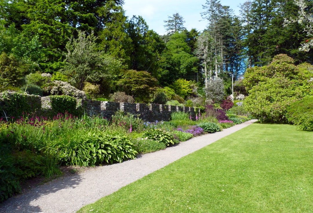 a-path-through-a-garden-rrxvt5id-q4