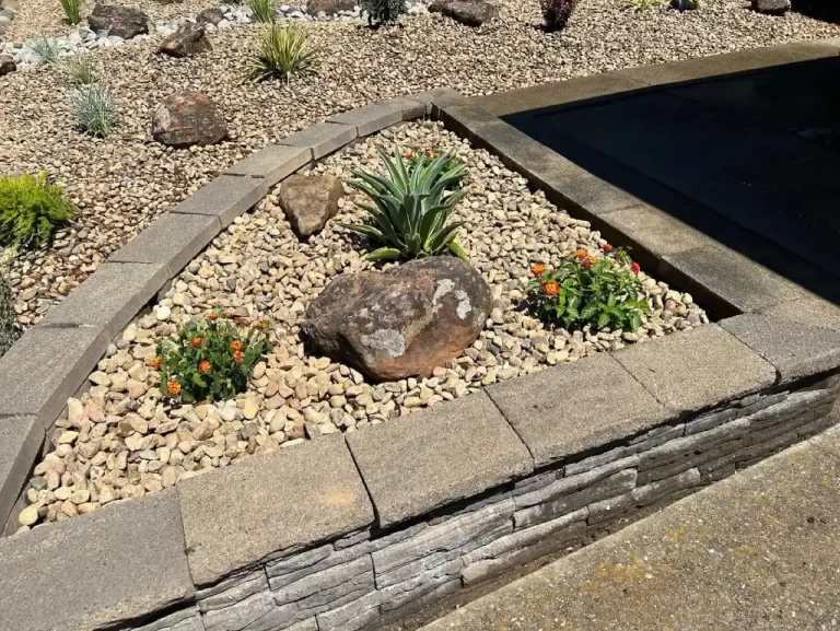 front yard 4